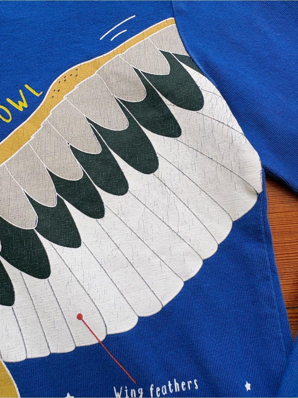 Mini Boden | Royal Blue Owl Education Graphic Top | Long-Sleeve Tee | 3-4 - Picture 4 of 7